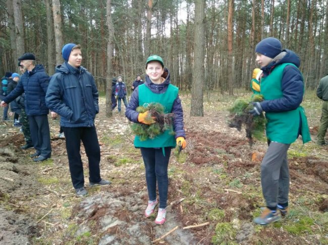 Волинські школярі висадили майже гектар лісу. ФОТО