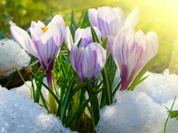 Погода в Луцьку та Волинській області на четвер, 25 березня