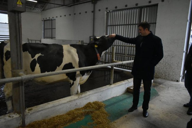 У селі на Волині збудували молочний комплекс за європейськими технологіями. ФОТО