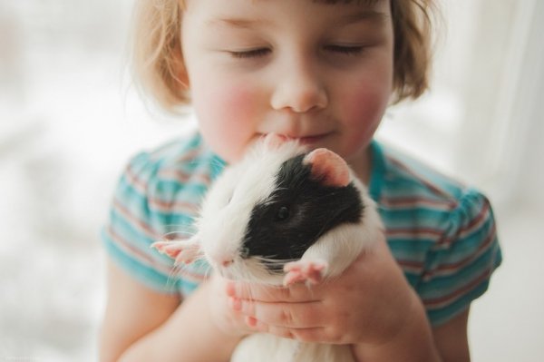 Фотовиставка Віталія та Варвари Шевчуків