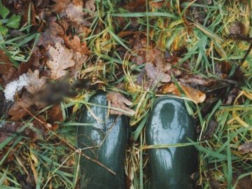 До України йдуть циклон та атмосферні фронти