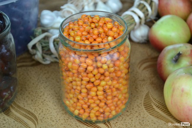 Гарбузи, журавлина та обліпиха: скільки на луцькому ринку коштують дари осені