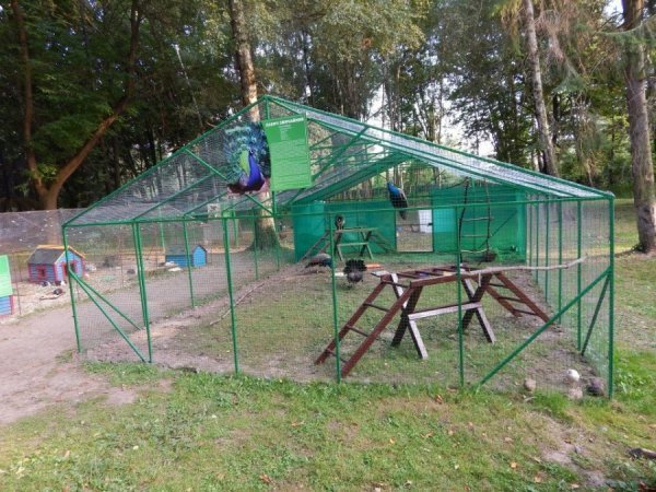 У луцькому зоопарку побільшало пернатих. ФОТО