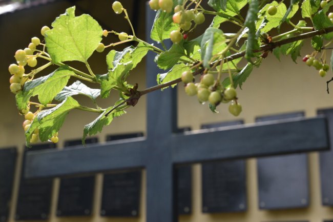 Вшанували жертв розстрілу у Луцькій тюрмі