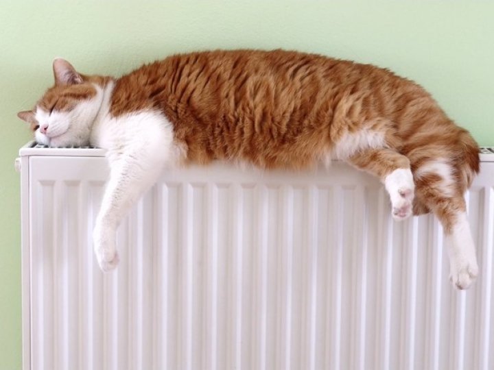 У Луцьку встановили новий тариф на опалення з альтернативних джерел