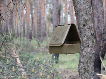 Волинські тероборонівці на сході України з укупорки для боєприпасів зробили годівничку для птахів 