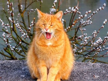 Погода у Луцьку на завтра, 28 березня