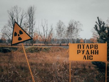 Російські окупанти, які обкопувалися у Рудому лісі, швидше за все, помруть, – Енергоатом