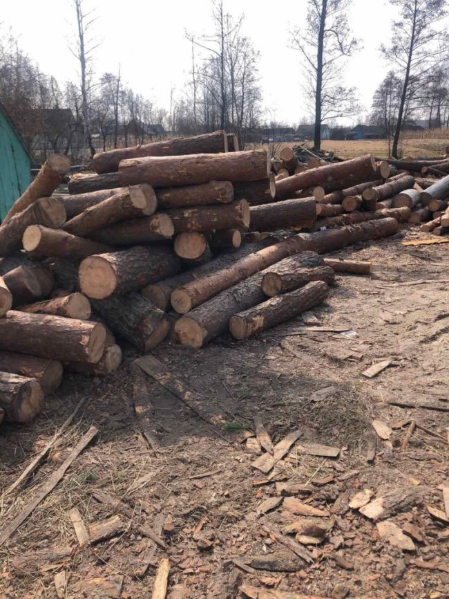 На Волині на одній з пилорам знайшли нелегальну деревину. ФОТО