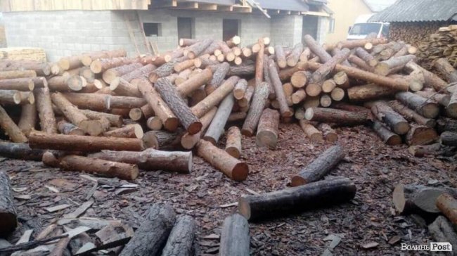 На Волині обшукали підпільні пилорами. ФОТО