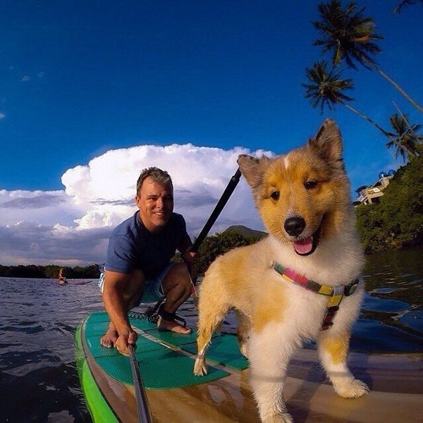 Оригінальні селфі. ФОТО