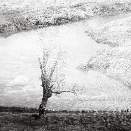 Фотовиставка Тараса Цибуха