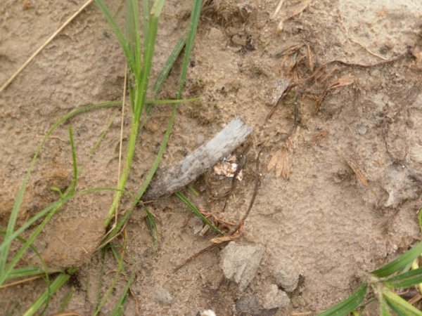 На Волині мародери зруйнували братську могилу. ФОТО