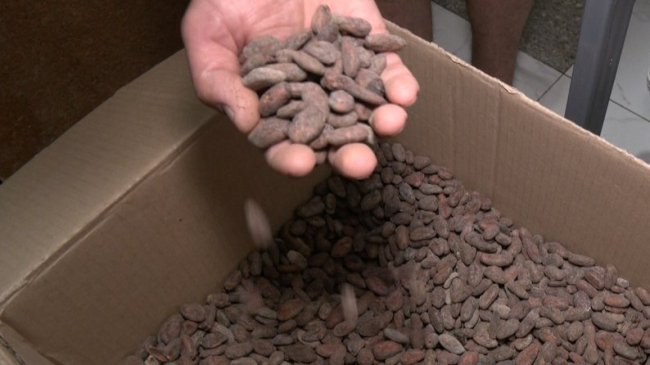 21 вид солодощів: волинянка виготовляє крафтовий шоколад та цукерки без цукру. ФОТО, ВІДЕО