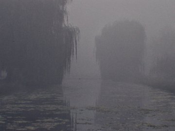 Містичний затуманений ранок у луцькому парку. ФОТО