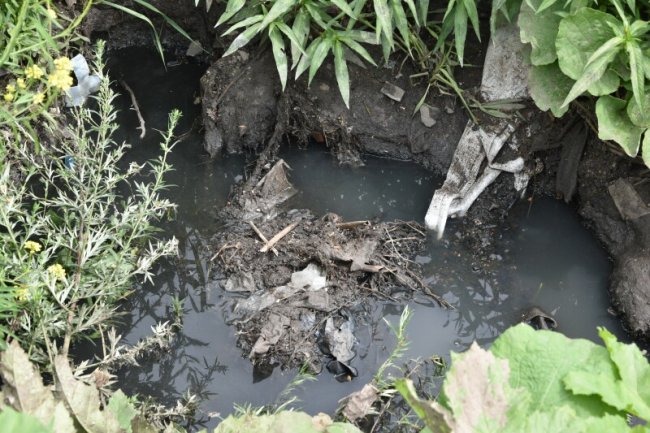 Проблема смороду у Луцьку: показали, що приміські села не мають нормальних очисних споруд