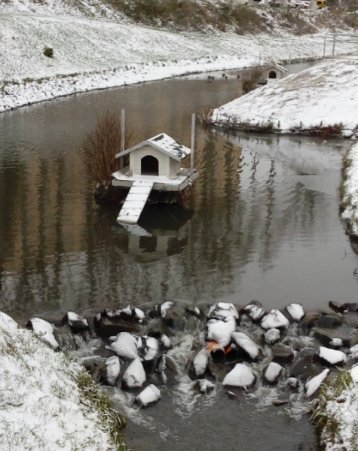 instalutskФото від @tetiana.levchuk Enjoy the silence #sky #colors #instalutsk