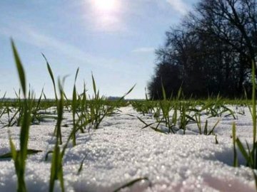 Якою буде погода у понеділок, 12 лютого