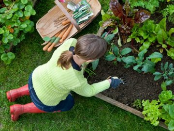 З майстер-класами та розвагами: лучан кличуть садити міський овочевий город