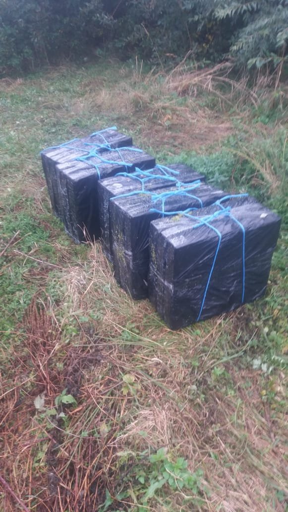 У лісі на Волині знайшли контрабандні цигарки, замасковані у кущах. ВІДЕО. ФОТО