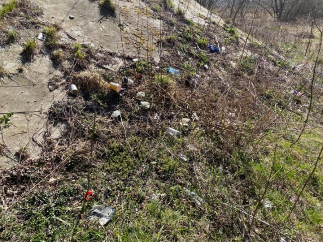 Двох волинян покарають за сміття на березі Стиру. ФОТО