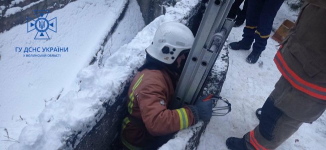 Волинські рятувальники витягнули з ями песика. ФОТО