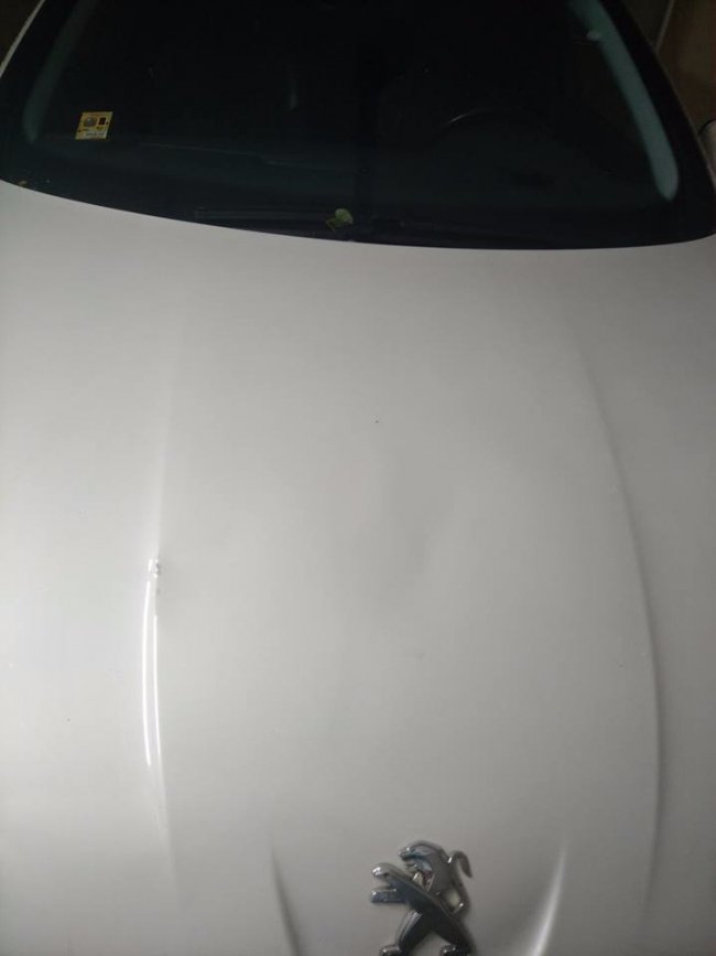 «Нереально страшно, коли перед машиною падають дерева», - лучанка про бурю