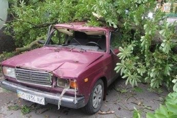 «Нереально страшно, коли перед машиною падають дерева», - лучанка про бурю