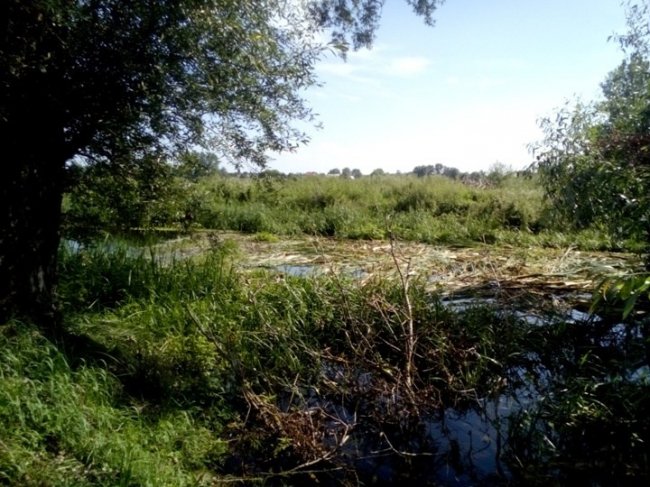 У місті на Волині річку перетворили на смітник. ФОТО