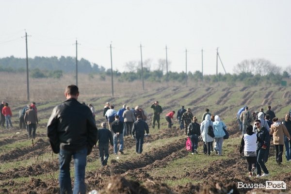 Луцьке сміттєзвалище посадовці обсаджують лісом. ФОТО. ВІДЕО