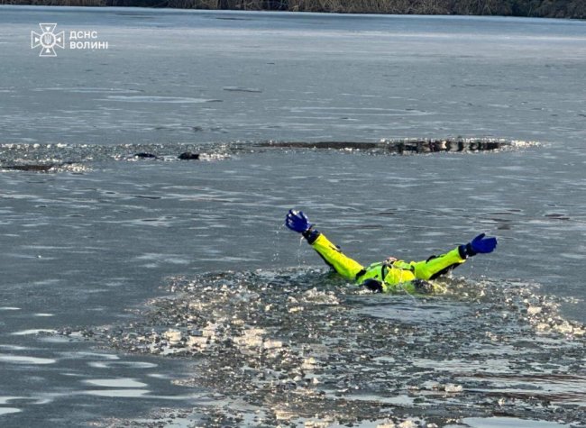 На Волині врятували собаку, який провалився під кригу