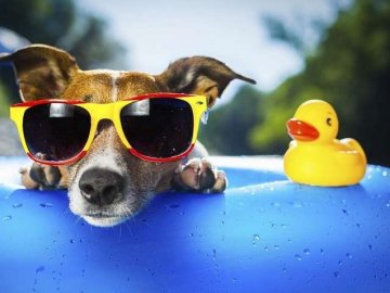 Погода в Луцьку та Волинській області на середу, 14 липня