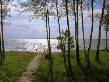 На Шацьких озерах підприємець незаконно використовував земельну ділянку для розведення риби