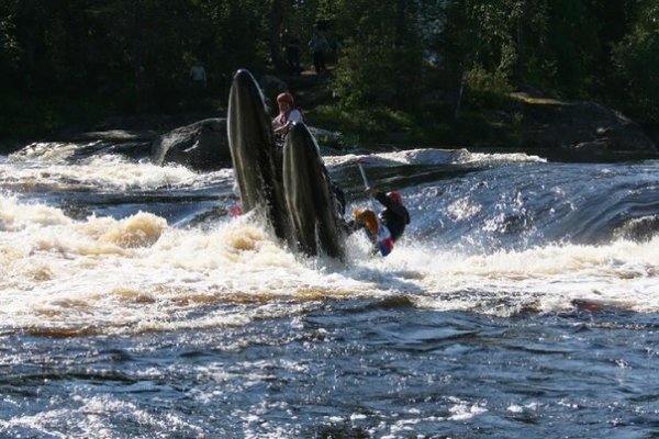 Автор -  Микола Комаровський