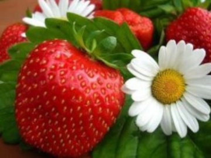 Погода в Луцьку та Волинській області на завтра, 29 червня