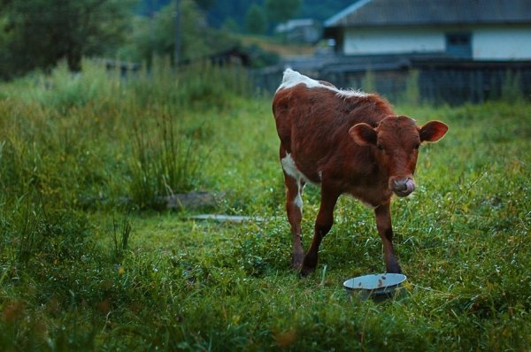 Фотовиставка Ольги Уриної