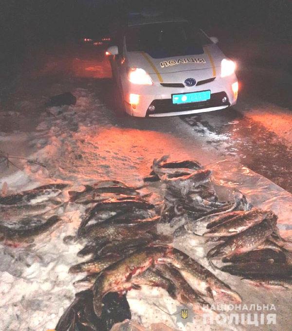 На Рівненщині трьох волинян спіймали на незаконному вилові щуки