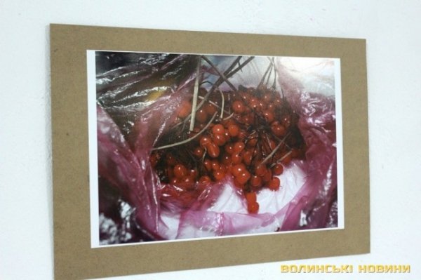 «Еротично-політична» виставка в Луцьку. ФОТО