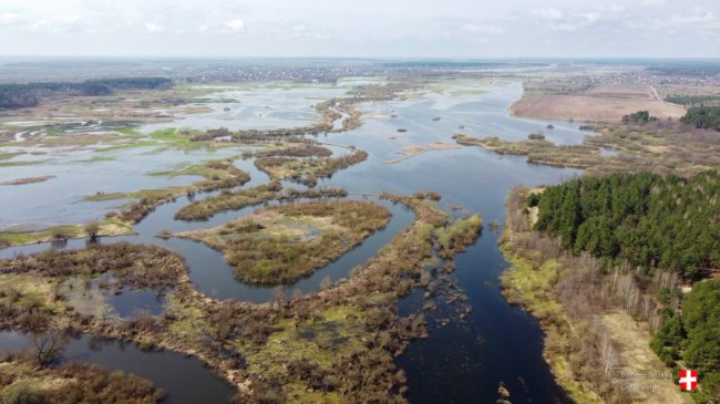 Річка Стир з висоти пташиного польоту. ФОТО