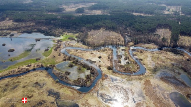 Річка Стир з висоти пташиного польоту. ФОТО