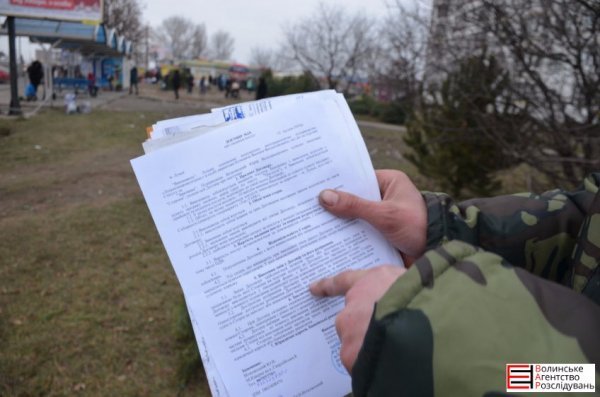 Ялинковий бізнес по-луцьки: ціни, дозволи, чіпи