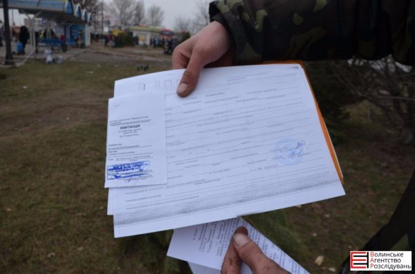 Ялинковий бізнес по-луцьки: ціни, дозволи, чіпи