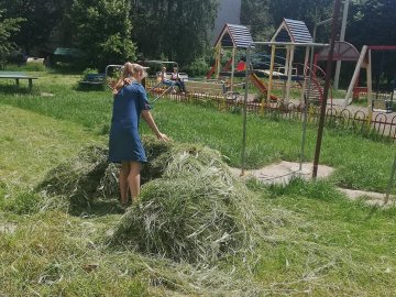 У Луцьку на ЛПЗ  дитячі майданчики обросли травою. ФОТО