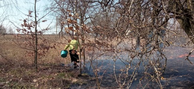 На Волині вогнеборці врятували жінку, яка втратила свідомість під час гасіння пожежі сухої трави