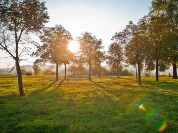 Погода в Луцьку та Волинській області на вівторок, 3 вересня