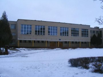 Школярі, які «замінували» ліцей у Луцьку, хотіли перевірити, чи «спрацює» їхня ідея