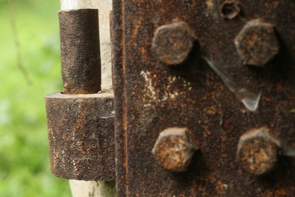 Фотовиставка Олександра Пизи