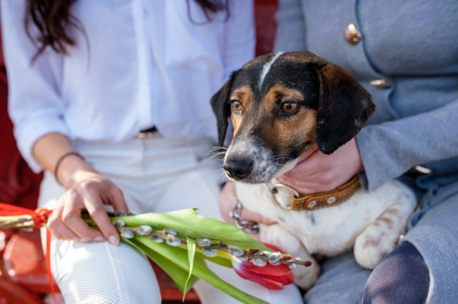 Дана Новарчук – директор КП «Ласка» із Катериною П‘ятачук – модель, зоозахисник, волонтер КП «Ласка» та з собачкою Еммі