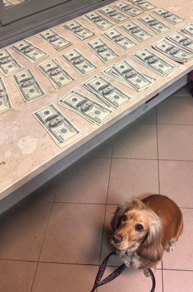 Через волинський кордон водій вантажівки хотів провезти майже 30 тисяч доларів США