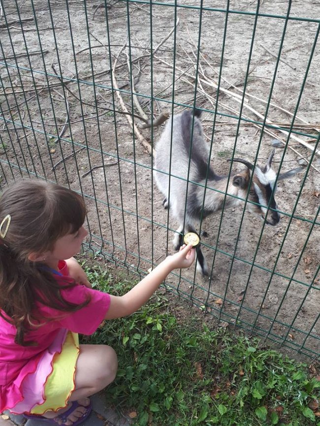 У Луцькому зоопарку зібрали урожай овочів, які садили діти. ФОТО